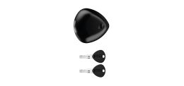 BLACKSTONE COMBO Lock (Black, 1 pc, 2 keys)