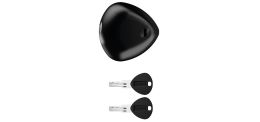 BLACKSTONE COMBO Lock (Silver, 1 pc, 2 keys)